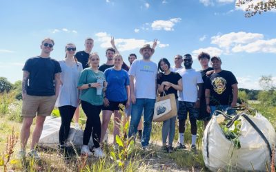 Broadplace Team’s Volunteering Afternoon with the Wildlife Aid Foundation